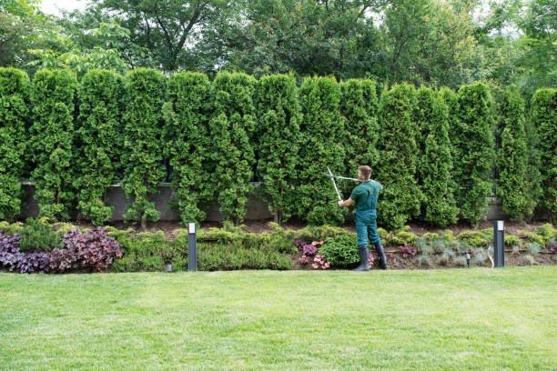Best Lawn Pest Prevention  in Central, TN