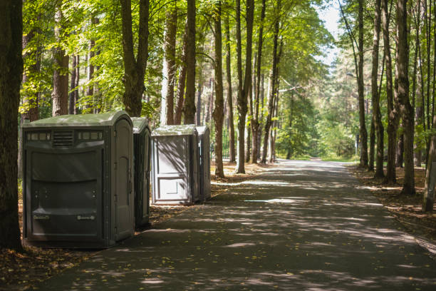 How Our Tree Care Process Works  in  Central, TN